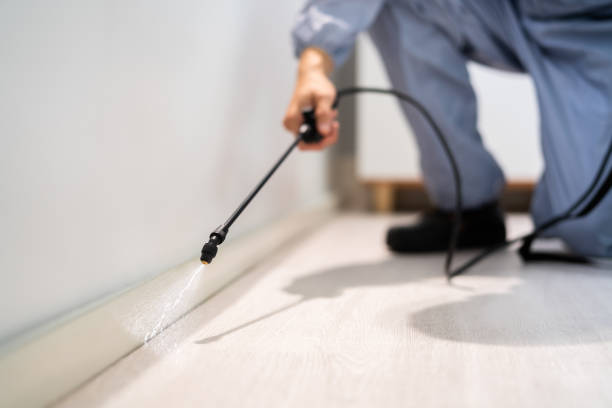 Licensed Pest Control service in Hyrum, UT - Show Me Pest Control