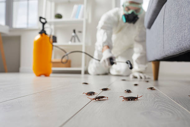 Commercial Kitchen Cockroach Control in Hyrum